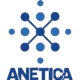 Anetica Consulting Private limited